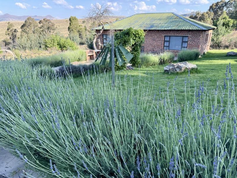 20 Bedroom Property for Sale in Paul Roux Free State